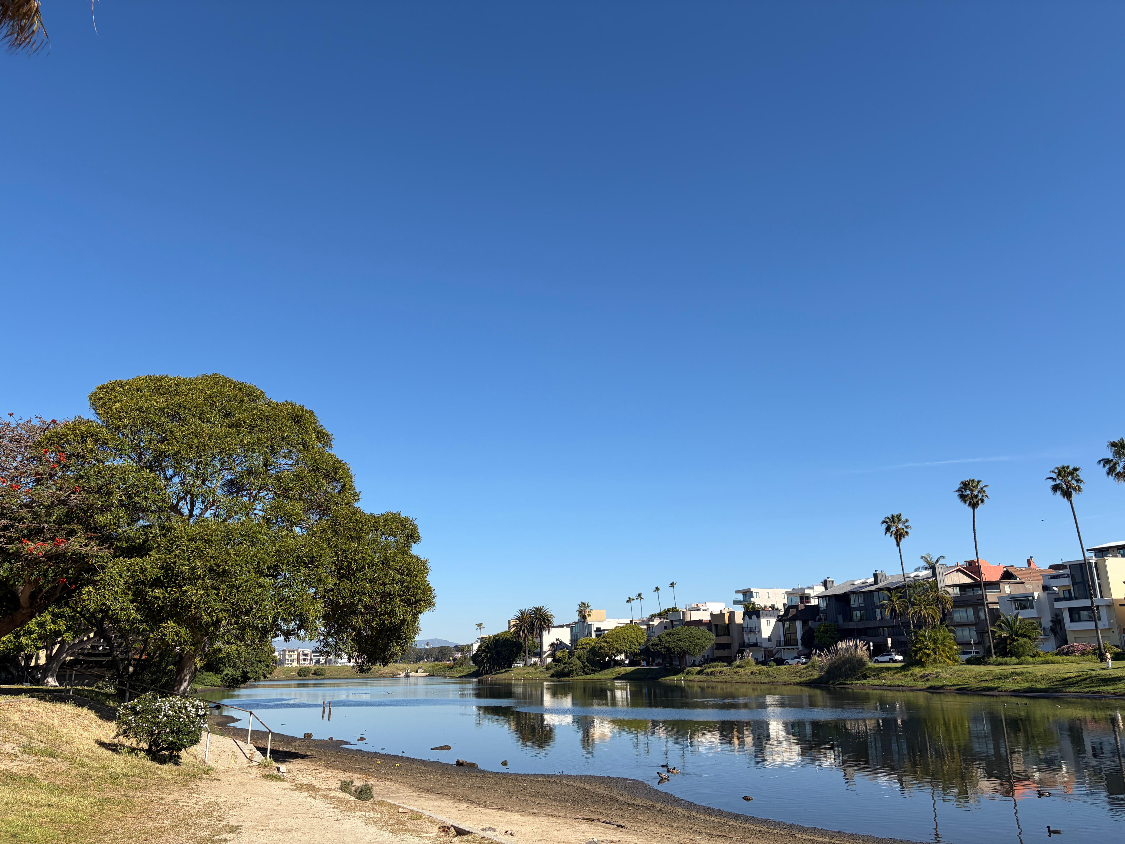 Ballona Estuary Lagoon and Residential Waterfront, Los Angeles Ballona Estuary lagoon in Los Angeles with calm water, shoreline trees, palm-lined homes, and reflections under a clear blue sky
