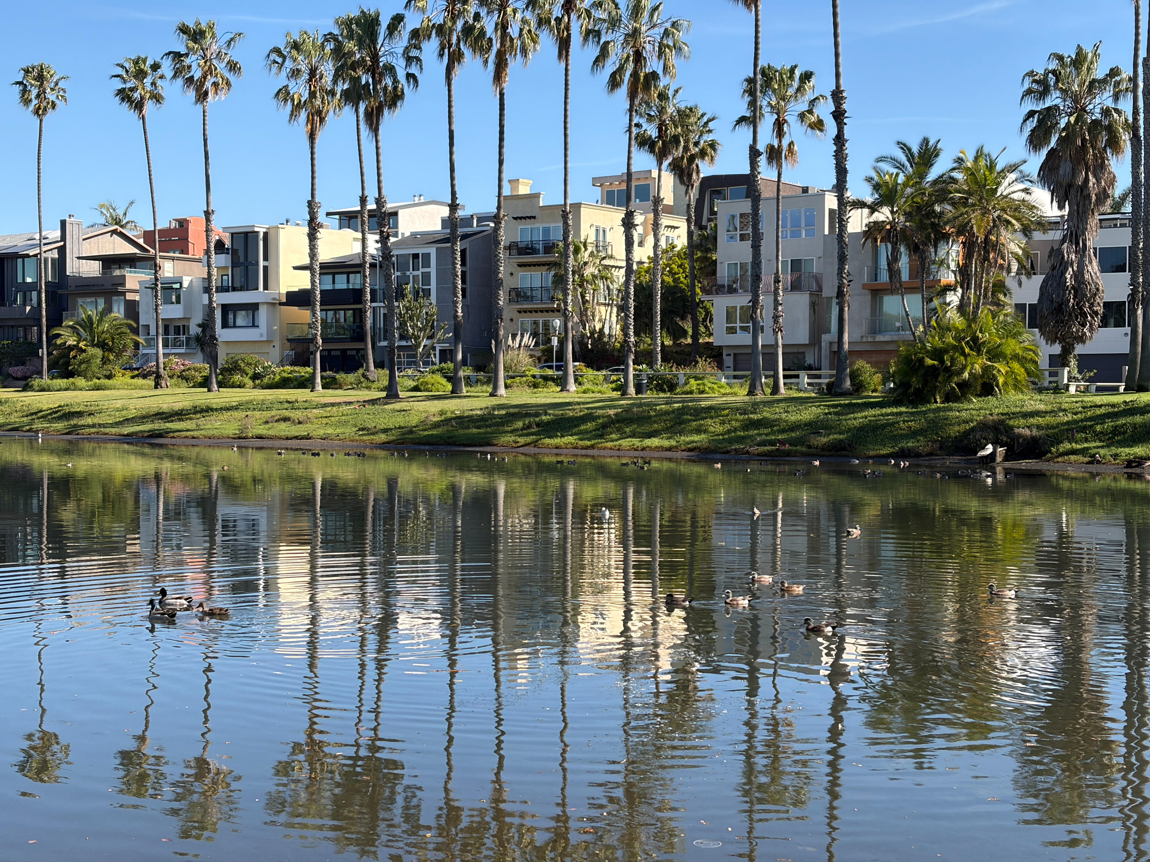 Ballona Estuary Waterfront and Residential Lagoon, Los Angeles Ballona Estuary waterfront in Los Angeles with palm trees, residential buildings, and reflections on calm lagoon water